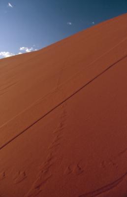 Dune 45 closeup 