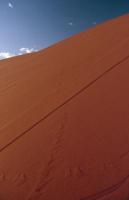 Dune 45 closeup 