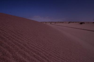 Kusib Delta 